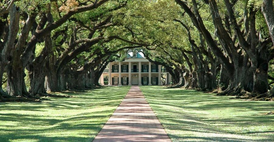 Louisiana: Laura, Oak Alley, or Whitney Plantation Tours - What the price includes, and what it does not