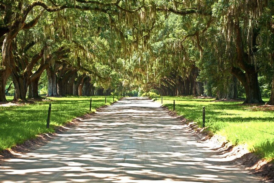 Louisiana: Laura, Oak Alley, or Whitney Plantation Tours - Laura Creole Plantation and the Br’er Rabbit connection