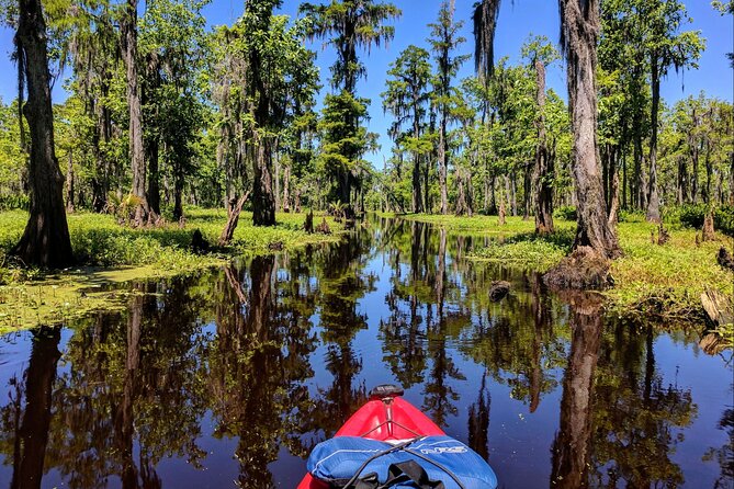 Manchac Swamp Extended 4-Hour Kayak Tour with Pickup - Why four hours in Manchac Swamp feels different