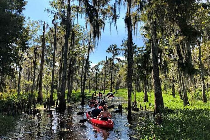 Manchac Swamp Extended 4-Hour Kayak Tour with Pickup - Leaving New Orleans at 10 a.m.