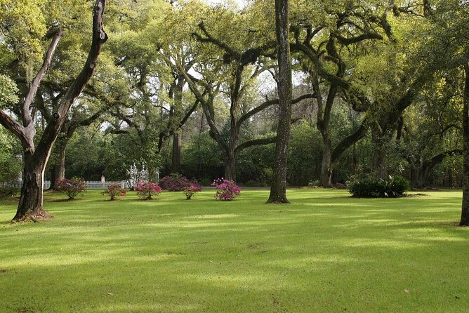 Myrtles Plantation Daytime Historical Tour - Is $20 a fair price for 45 minutes?
