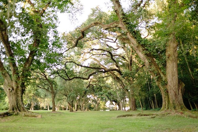 Myrtles Plantation Daytime Historical Tour - Food, coffee, and time on the property