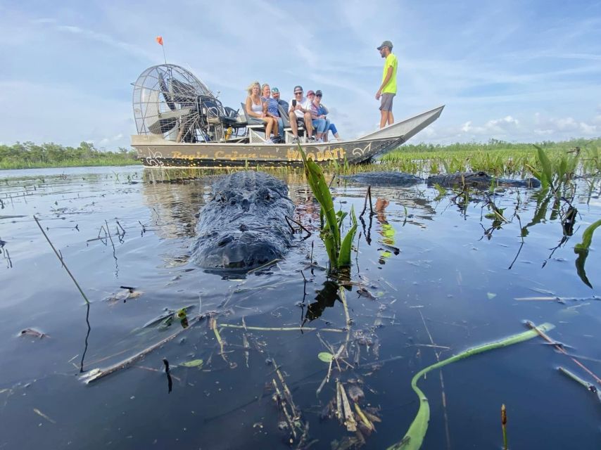 New Orleans: 10 Passenger Airboat Swamp Tour - Should You Book It?