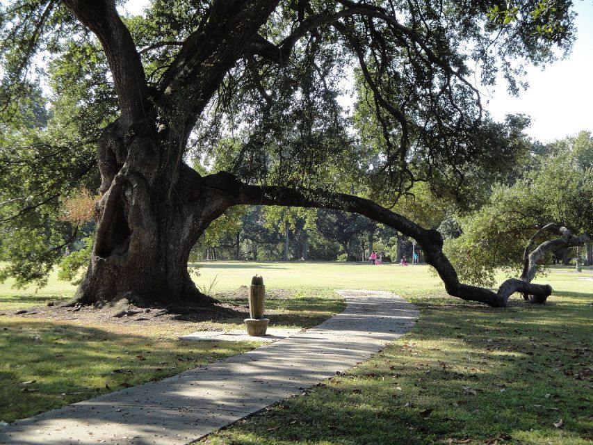New Orleans: 2-Hour 15-Minute City and Cemetery Tour by Bus - Key points at a glance