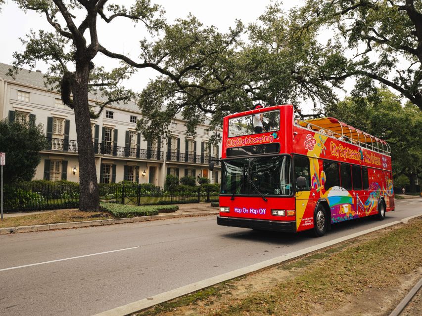 New Orleans: 2 or 3 Day Hop-On Hop-Off Bus with Walking Tour - Jackson Square, the French Market, and Marigny