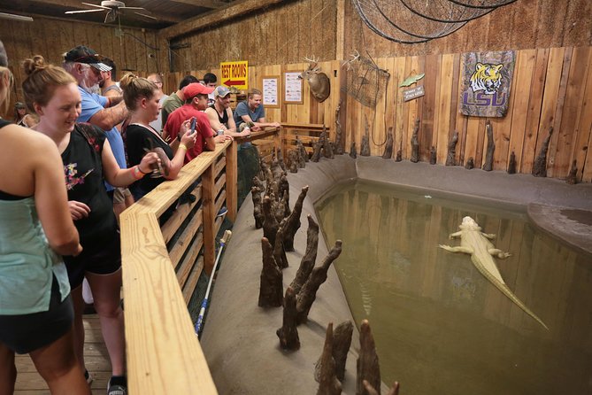 New Orleans Airboat Ride - The captains make a real difference