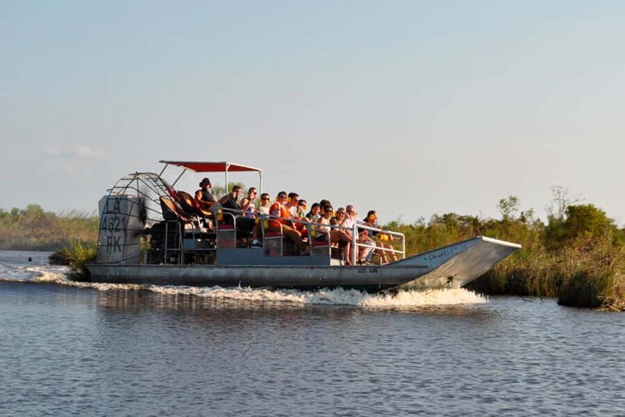 New Orleans: Airboat Swamp Adventure with Transportation - Wildlife watching in Sportsman’s Paradise