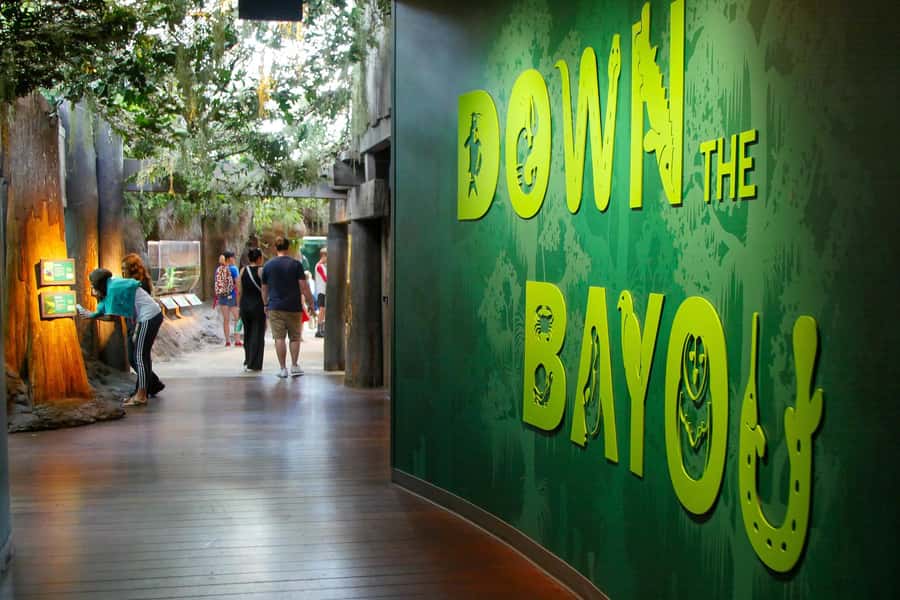 New Orleans: Audubon Aquarium & Insectarium Ticket - Adding the Audubon Insectarium and Butterfly Garden