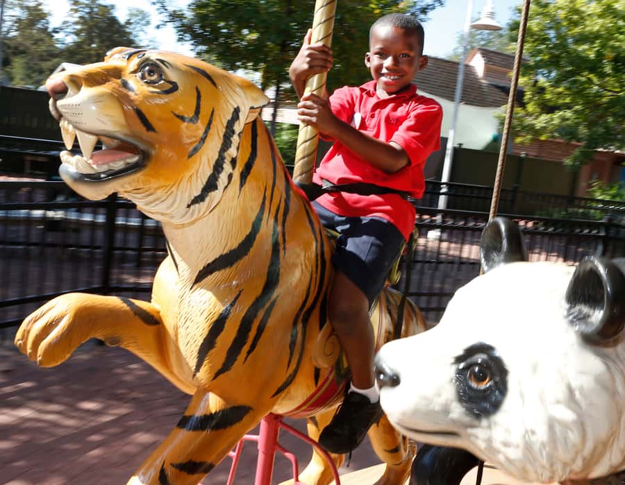 New Orleans: Audubon Zoo or Combo Ticket - Who will enjoy this zoo most?