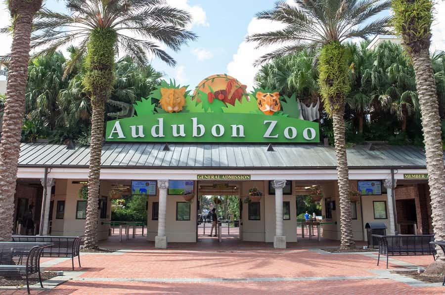 New Orleans: Audubon Zoo or Combo Ticket - Lions and Sumatran orangutans
