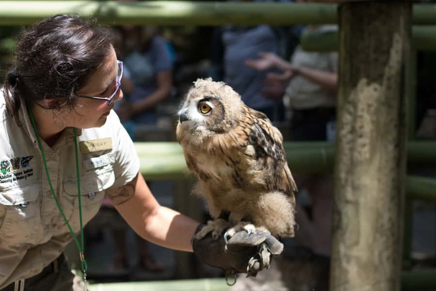 New Orleans: Audubon Zoo or Combo Ticket - Daily care demonstrations add substance