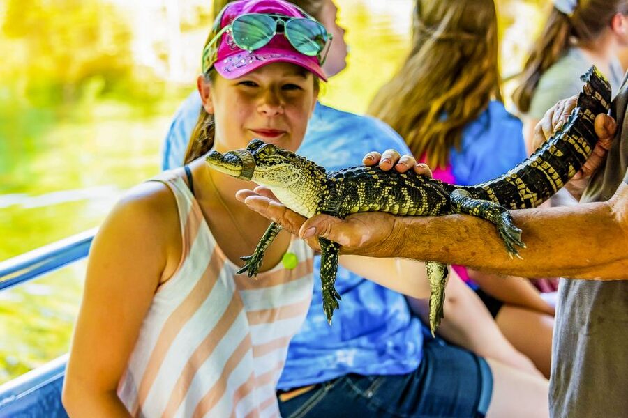 New Orleans: Bayou Swamp Tour and Oak Alley Plantation Tour - Key points to know before you book