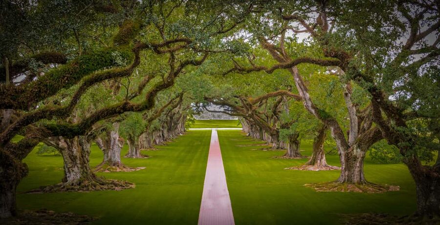 New Orleans: Bayou Swamp Tour and Oak Alley Plantation Tour - Getting out of the city by shuttle
