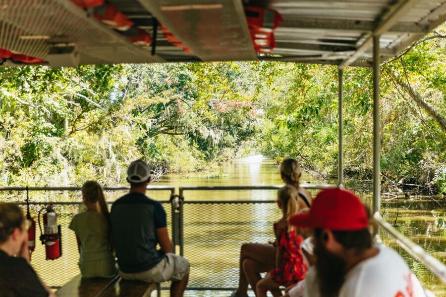 New Orleans: Bayou Tour in Jean Lafitte National Park - A close look at the itinerary