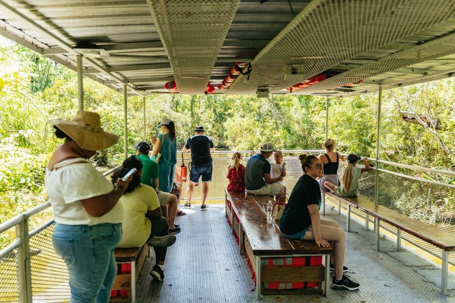 New Orleans: Bayou Tour in Jean Lafitte National Park - What the 90-minute boat ride feels like