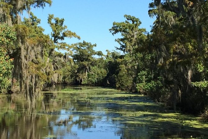 New Orleans City, Cemetery and Swamp Full-Day Tour - How to prepare for a smoother outing