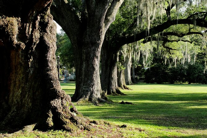 New Orleans: City Park Exploration Game and Tour - The app is the main strength and the main risk