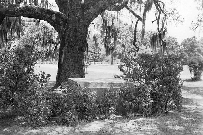 New Orleans: Dead of Night Ghosts and Cemetery Bus Tour - Choosing Between the 7:00 PM and 9:30 PM Departures