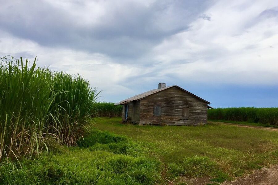 New Orleans: Destrehan Plantation & Airboat Combo Tour - Is $179 a fair price?