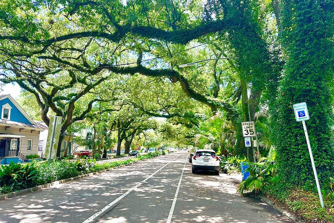 New Orleans Driving Tour with Bayou St. John, City Park, Treme - City Park: oak trees, duels, birds, and beignets