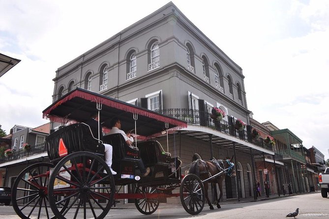 New Orleans French Quarter and More Carriage Ride - Why a carriage is a smart first hour in New Orleans