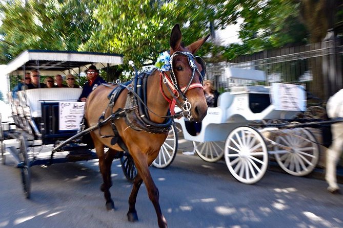 New Orleans French Quarter and More Carriage Ride - Napoleon House and the stories behind the buildings