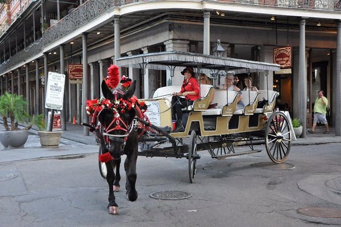 New Orleans French Quarter and More Carriage Ride - What the guide adds to the ride
