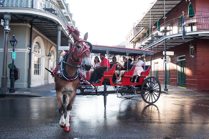 New Orleans French Quarter and More Carriage Ride - St. Louis Cathedral and Place D’Armes