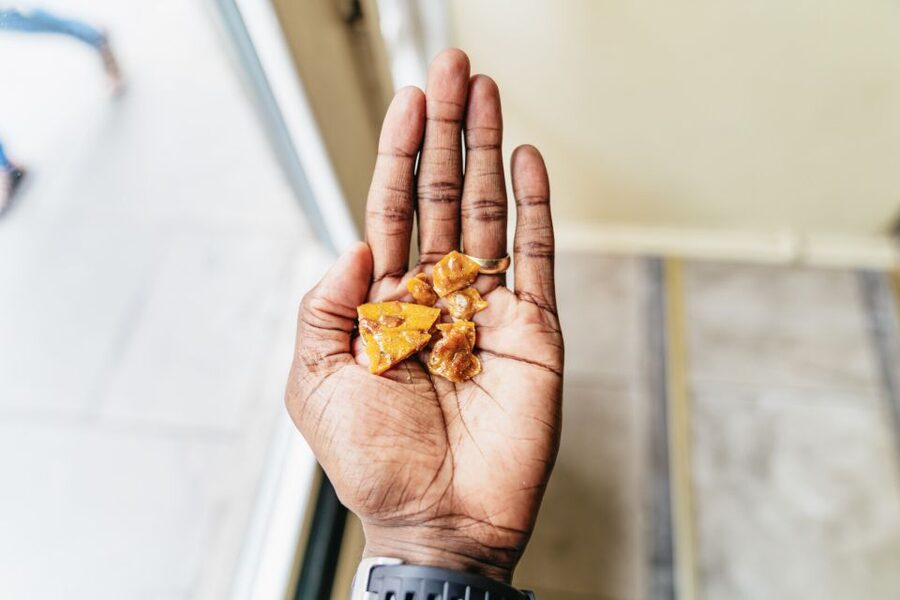 New Orleans: French Quarter Food Tour with Tastings - Should you book the French Quarter food tour?