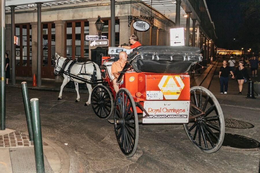 New Orleans: French Quarter Sightseeing Carriage Ride - Faubourg Marigny and Its Music-Lined Streets