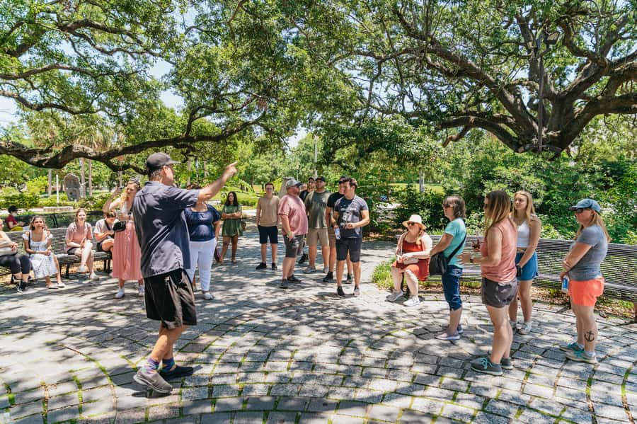 New Orleans: French Quarter, Voodoo and Cultural Experience - Starting at Witches Brew Gallery and Oddities Shop