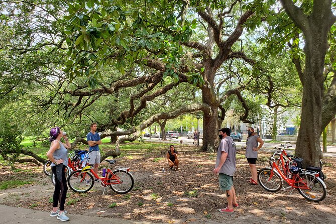 New Orleans Garden District and Cemetery Bike Tour - The Garden District: mansions, stories, and leafy streets