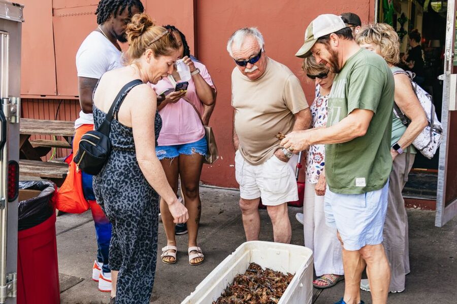 New Orleans: Garden District Food, Drinks & History Tour - Key points to know