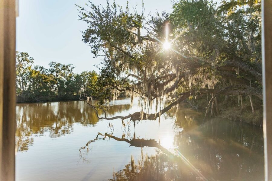 New Orleans: Guided Swamp Cruise by Tour Boat - Key points to know before you book