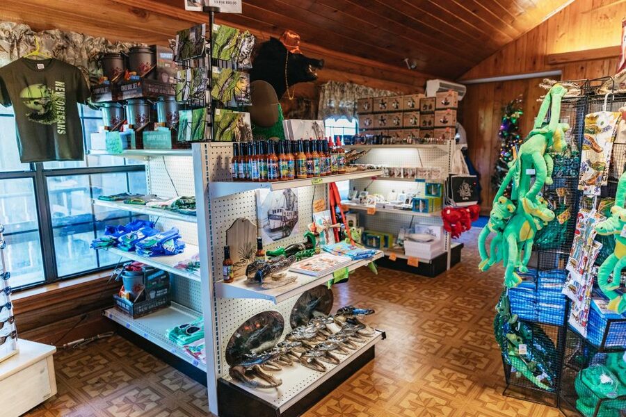 New Orleans: Guided Swamp Cruise by Tour Boat - Comparing the boat with an airboat