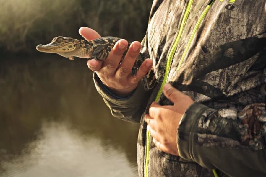 New Orleans: High Speed 16 Passenger Airboat Ride - Birds, mammals, and the broader wetland story