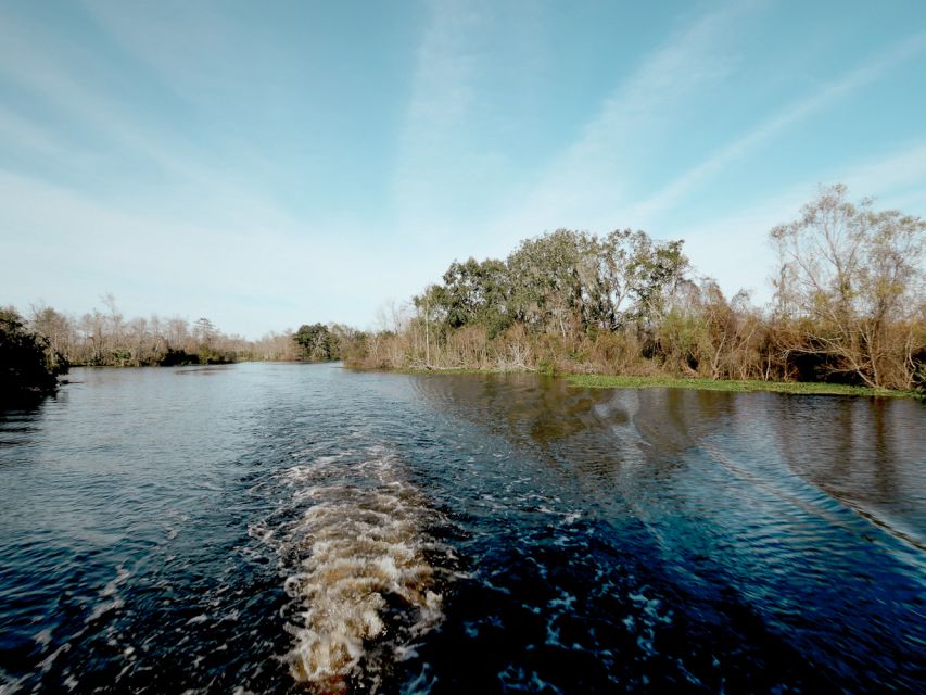 New Orleans: High Speed 16 Passenger Airboat Ride - Is the $65 price good value?