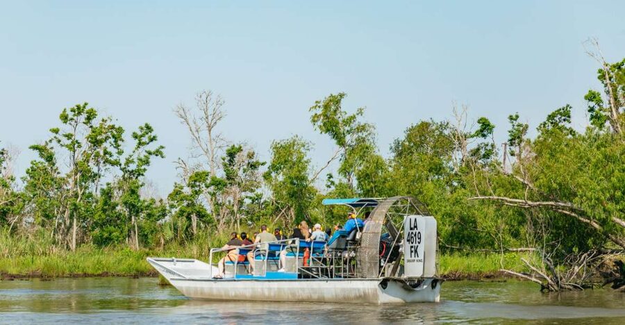 New Orleans: High Speed 9 Passenger Airboat Tour - Finding Alligators and Other Wetland Wildlife