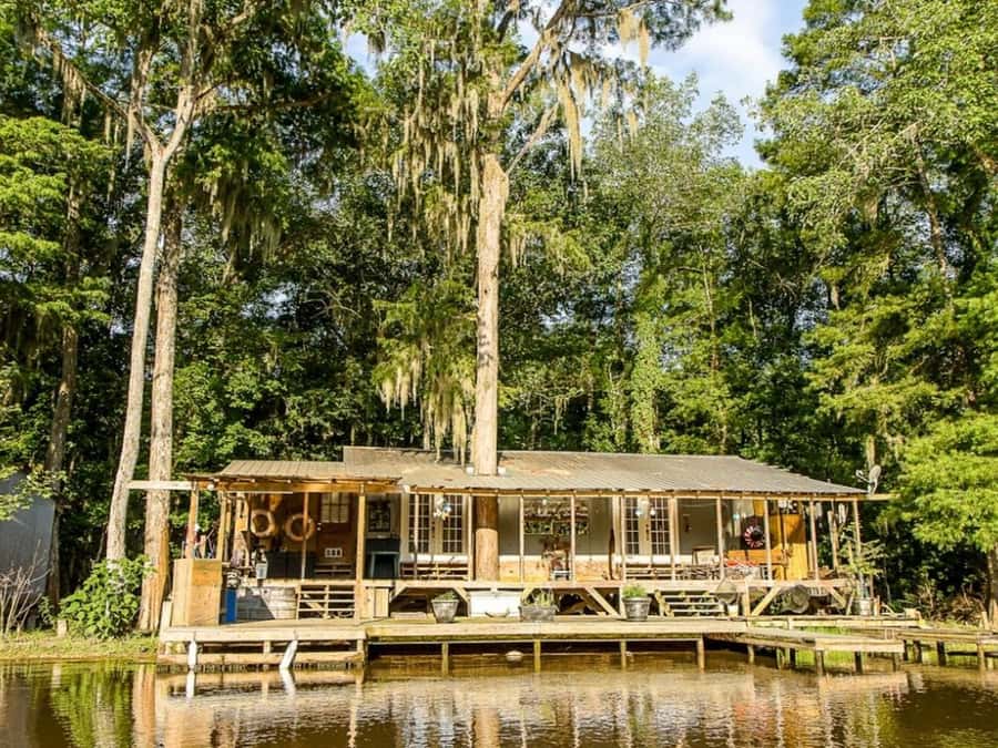 New Orleans: Honey Island Swamp Tour - Why Honey Island Swamp makes a good New Orleans escape