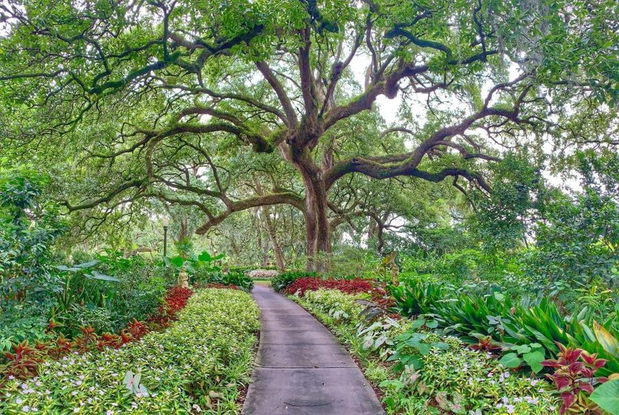 New Orleans: Houmas House Plantation Tour - The mansion tour: rooms, art, and changing architecture