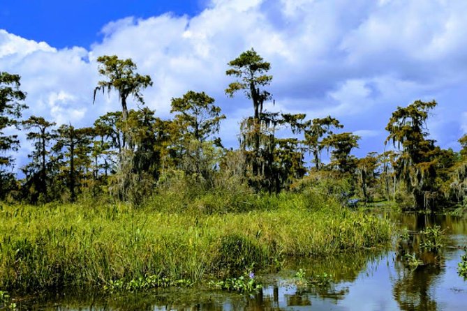 New Orleans Large Airboat Swamp Tour - Fast runs, slow turns, and photo stops
