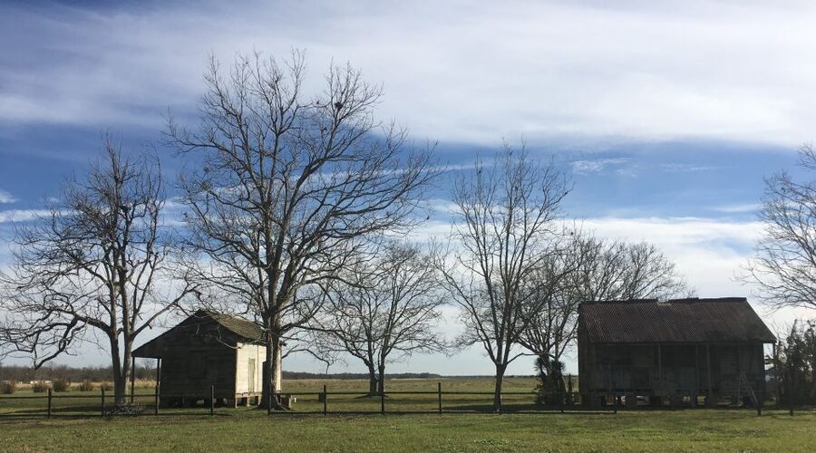 New Orleans: Laura Creole Plantation Guided Tour - Key points to know before you go