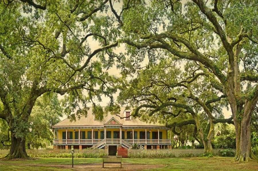 New Orleans: Laura Plantation Tour with Transportation - Meeting Laura Plantation’s Creole women