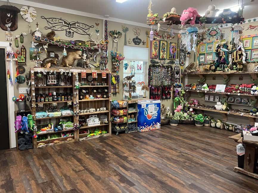 New Orleans Manchac Bayou Swamp Cruise W/ Optional Pick-Up - How the $35 price measures up