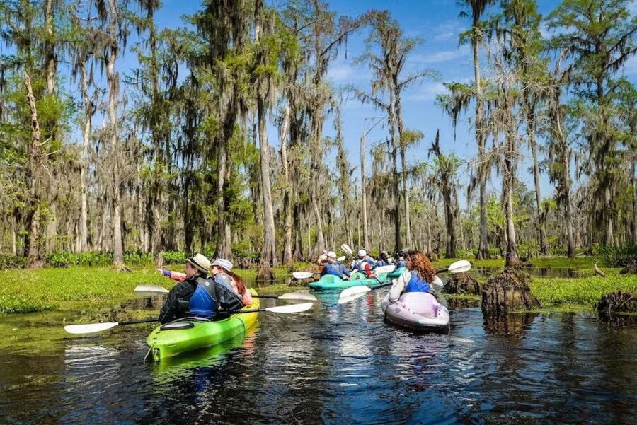 New Orleans: Manchac Magic Kayak Swamp Tour - Why Manchac is worth leaving New Orleans for
