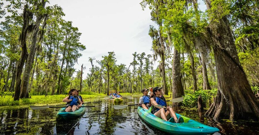 New Orleans: Manchac Magic Kayak Swamp Tour - Getting on the water in a beginner-friendly kayak