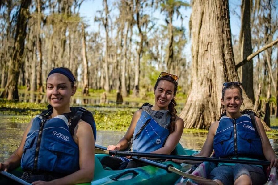 New Orleans: Manchac Magic Kayak Swamp Tour - What you may see among the cypress trees