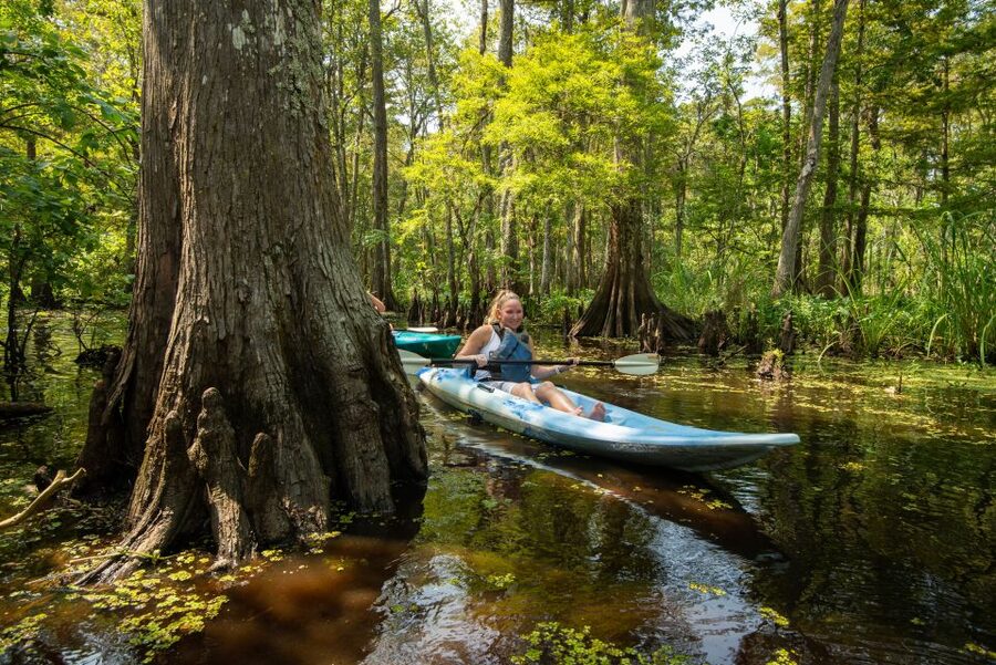 New Orleans: Manchac Magic Kayak Swamp Tour - Guides Al, Gerald, and Joshua make the difference