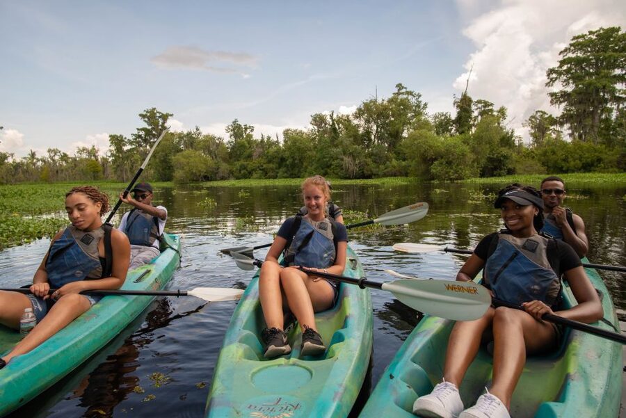 New Orleans: Manchac Magic Kayak Swamp Tour - The scenery is the main event
