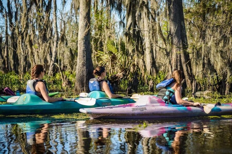 New Orleans: Manchac Magic Kayak Swamp Tour - History beyond the French Quarter